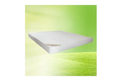 興佰康竹炭棉地磁床墊